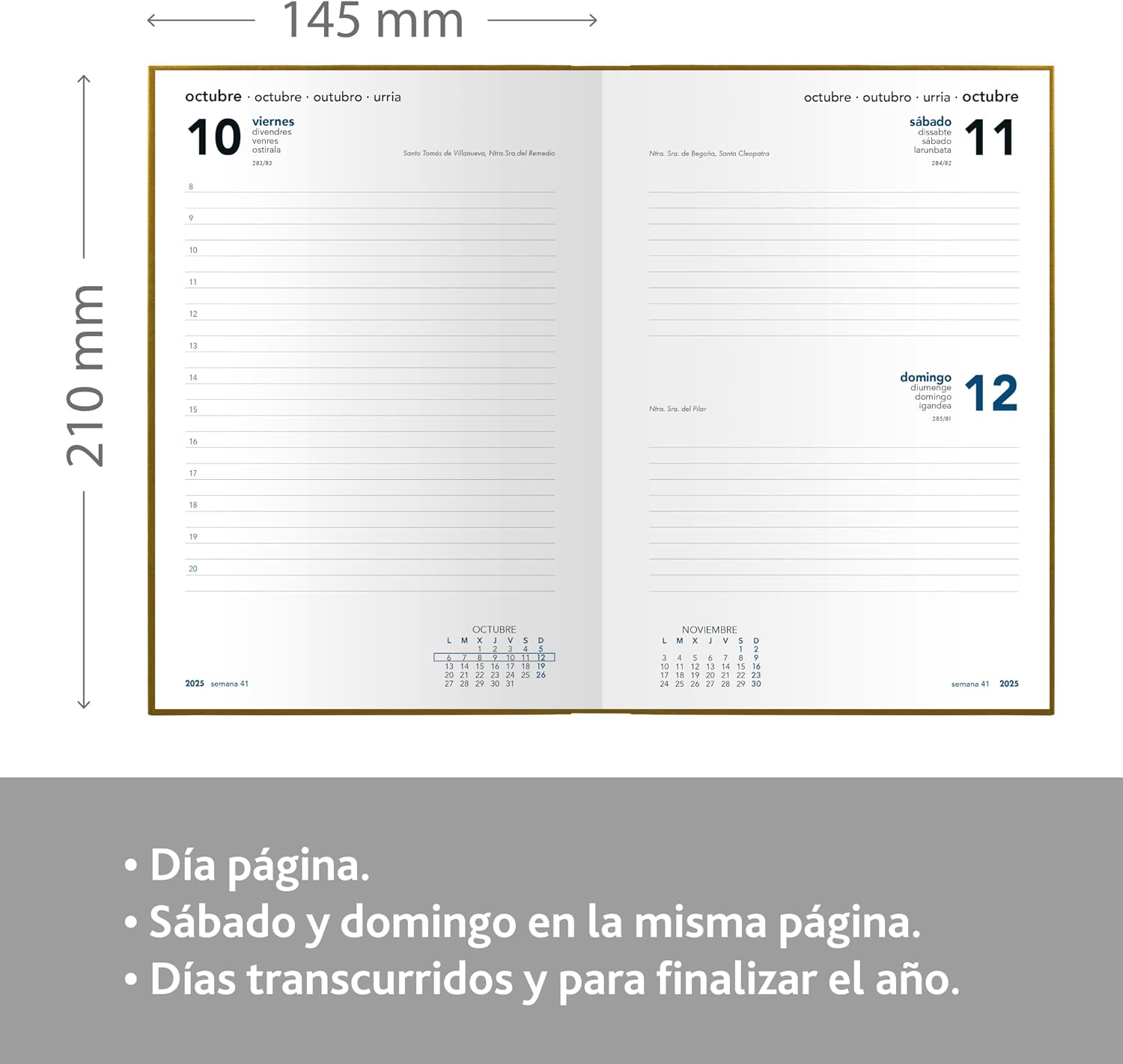 Grafoplas - 2025 Day by Page Florence Agenda, 14.5 x 21 cm, Orange, Vinyl Padded Covers, Vertical Closure, Reading Point, Annual, Perfect for Office Organization
