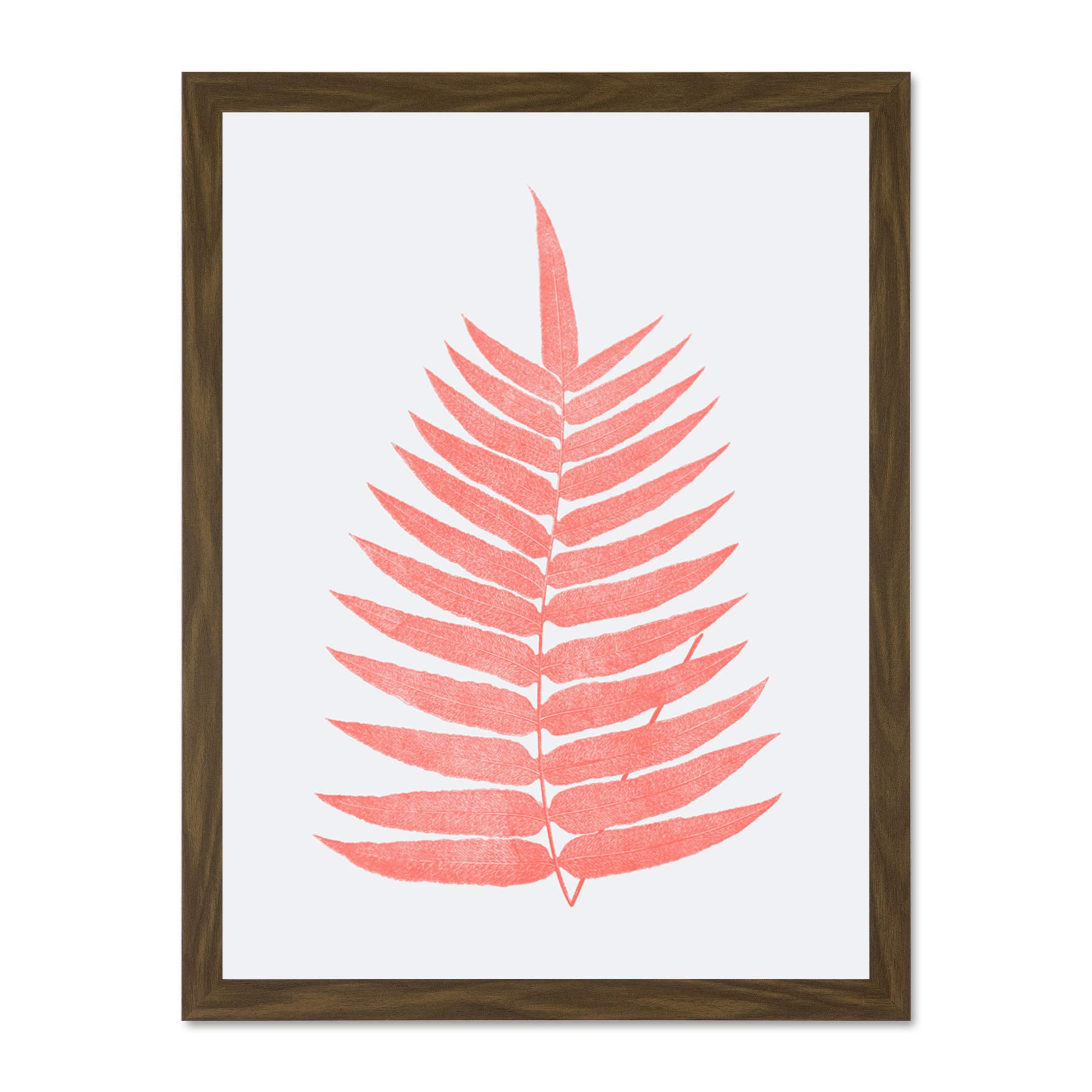 Wee Blue Coo Living Coral Fern Large Brown Framed Art Print Wall Poster 18x24 inch