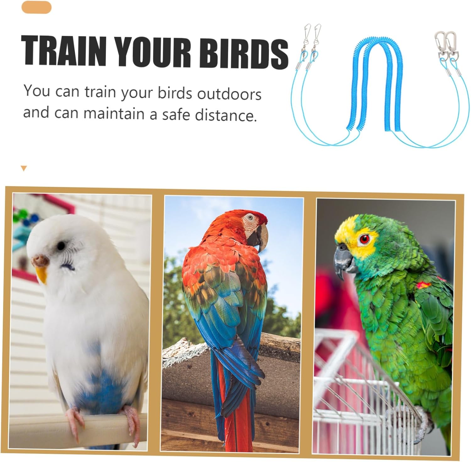 DOITOOL 10pcs Bird Traction Rope Bird Harness Leash Pet Training Parrot Flying Rope