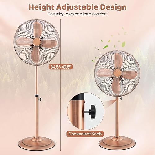 Miniatura 5 de LDAILY Ventilador de pedestal, ventilador oscilante de 16 pulgadas con 3 velocidades, velocidad ancha, altura y ángulo ajustables, ventilador de