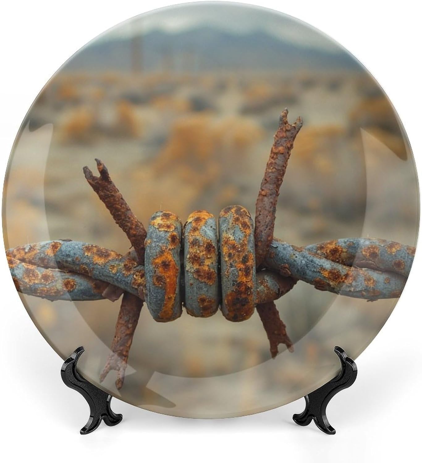 Bone China Decorative Plate 10inch Ceramic Dinner Plates Rusty Barbed Wire Decorative Plates with Display Stand Hanging Porcelain Plate Art Crafts Ceramic Ornaments for Home Office Wall Decor