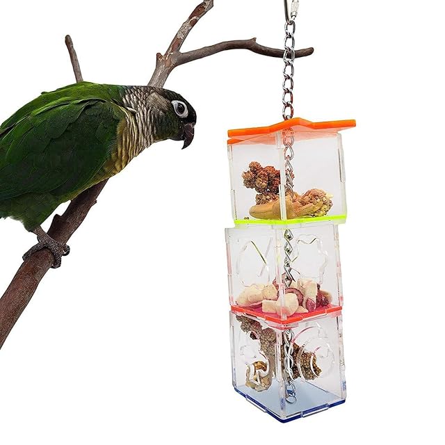 EVTSCAN Juguete de forrajeo Colgante de pájaro, Caja de forraje de Loro de pájaro Multicapa