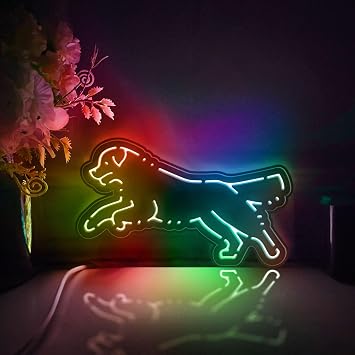 Jumping Golden Retriever Led Light Box, Golden Retriever Wall Art Decor, Desktop Decorations, Room Decor RGB & Color Flow Effect, Small Size