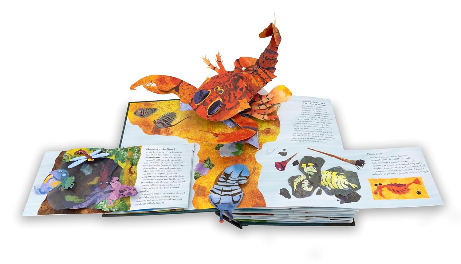 Encyclopedia Prehistorica: Sharks and Other Sea Monsters - Image 4