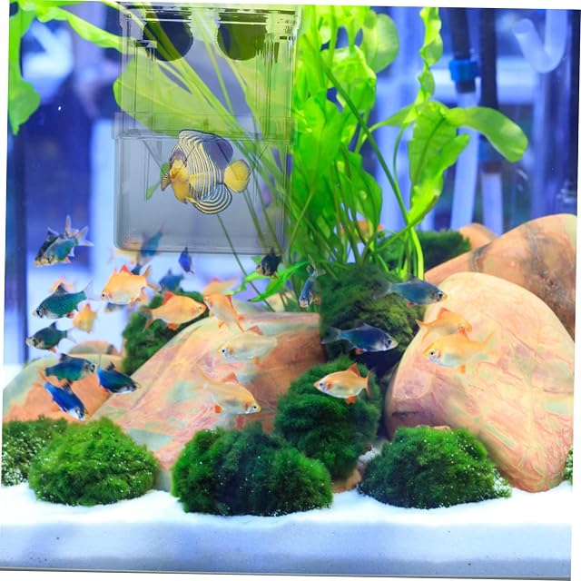Foto 2 de 8 de BCOATH 3 Piezas Caja De Incubación Juvenil Caja Divisora ​​De Tanque De Peces Caja De Separación De Peces…