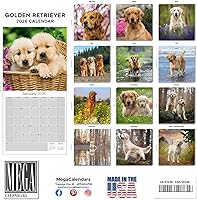 Vista 199 de Razas de Perros 2017