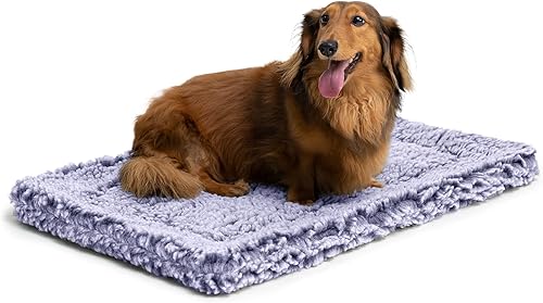Miniatura 13 de Stoutwool - Cama indestructible para perros, almohadilla esponjosa a prueba de masticaciones para perros, almohadilla resistente para masticadores