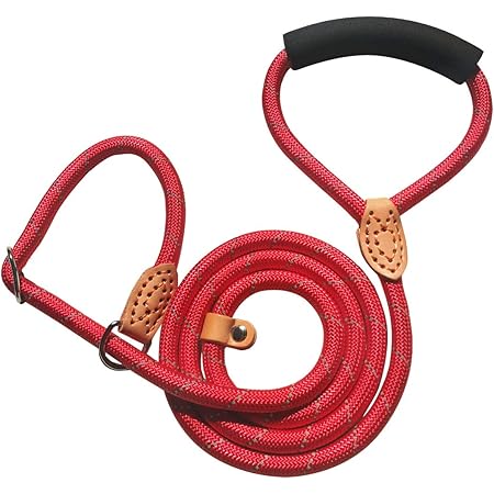 Amazon 犬 リードの進化版 スリップリード 一体型リードで小型犬と中型犬 首輪要らず 犬 トレーニング時にも最適 Pet Lien リード 通販