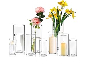 9 Cylinder Vases- for Various Purposes, 6,8,10 Inch