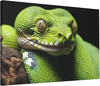 HJTRW Cute Green Tree Python Canvas Wall Art Frameless 16 X 24 Inch Art Painting Decorative Posters For Office Bedroom Living Room, White