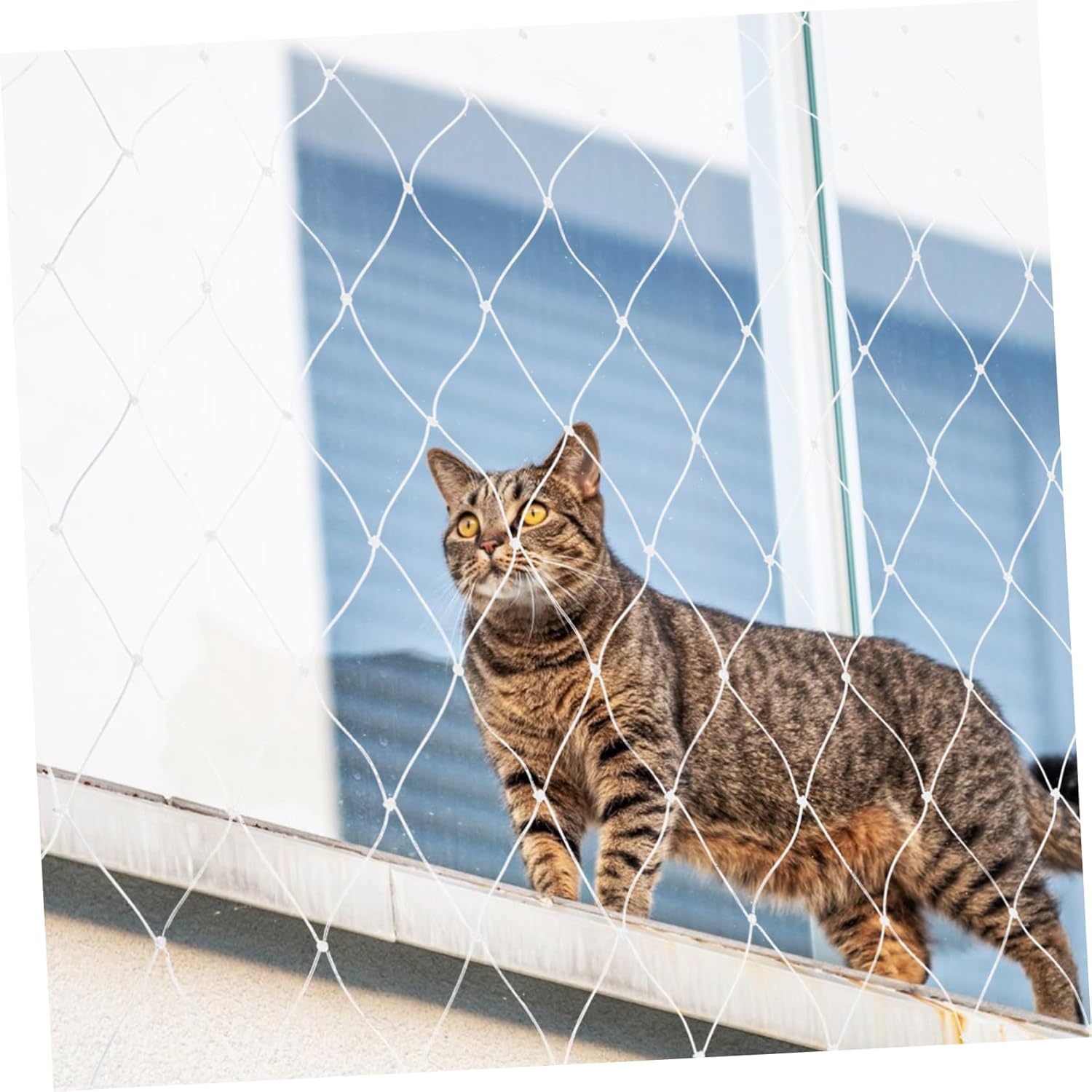 1 Set Cat Balcony Safety Net Durable Pet Protection Netting for Outdoor and Window Use Barrier for Cats
