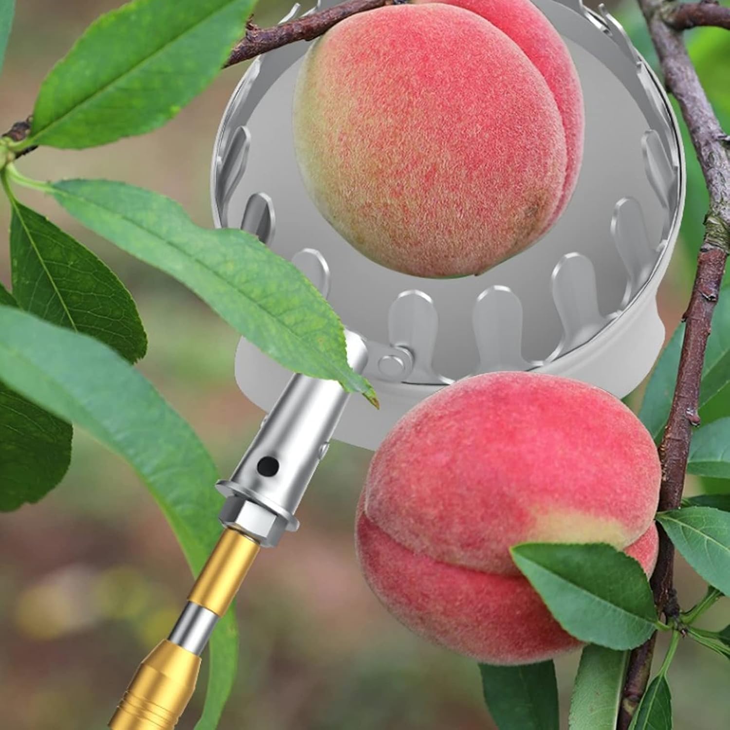 Fruit Picker Pole with Bag, Fruit Harvest Fruit Collector with Extendable Telescopic Pole and Non-Slip Handle Labor Saving Gardening Farm Picking Device Tools,13 ft