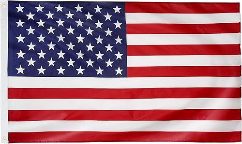 DANF - Bandera estadounidense de 3 x 5 pies, poliéster 100D más grueso, banderas de Estados Unidos con ojales de latón de 3 x 5 pies 3 x 5 pies,1,2