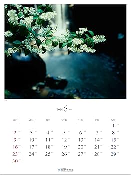 Amazon.co.jp: 入江泰吉カレンダー2024 奈良大和路 春夏秋冬