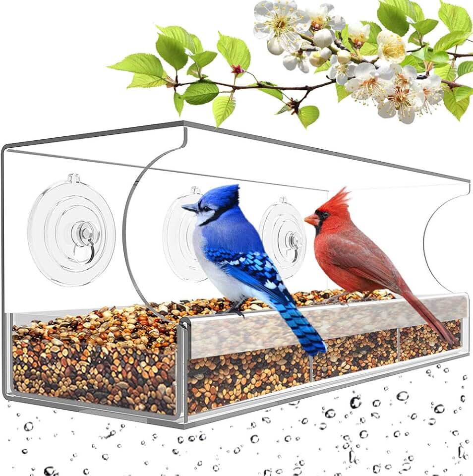 bird feeders on sale