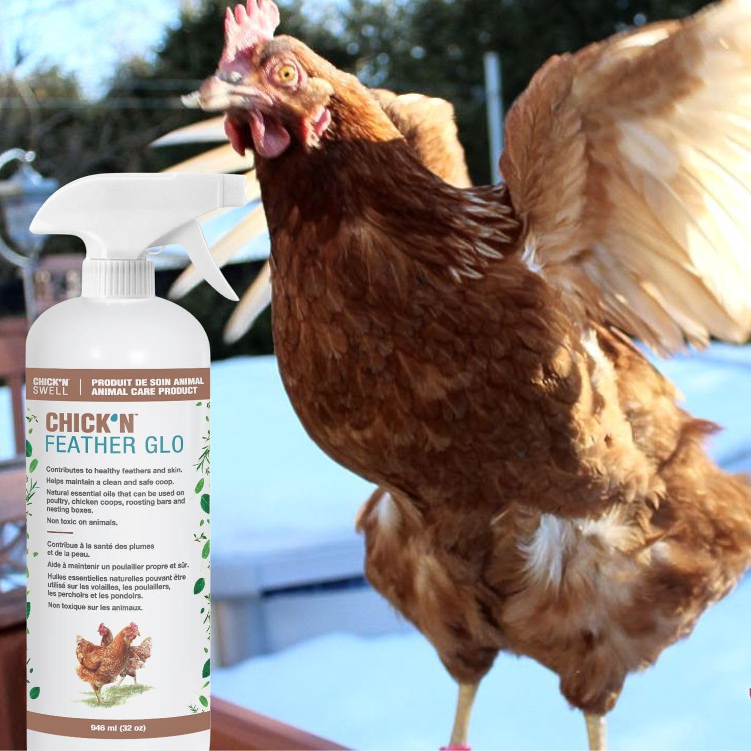 Poultry Feather and Plumage Care Formulation- Chick’n Feather Glo from Chick’n Swell to Enhance and Promote Strong Plumage in Poultry with Optimal Feathers Development. 32 Fluid oz.