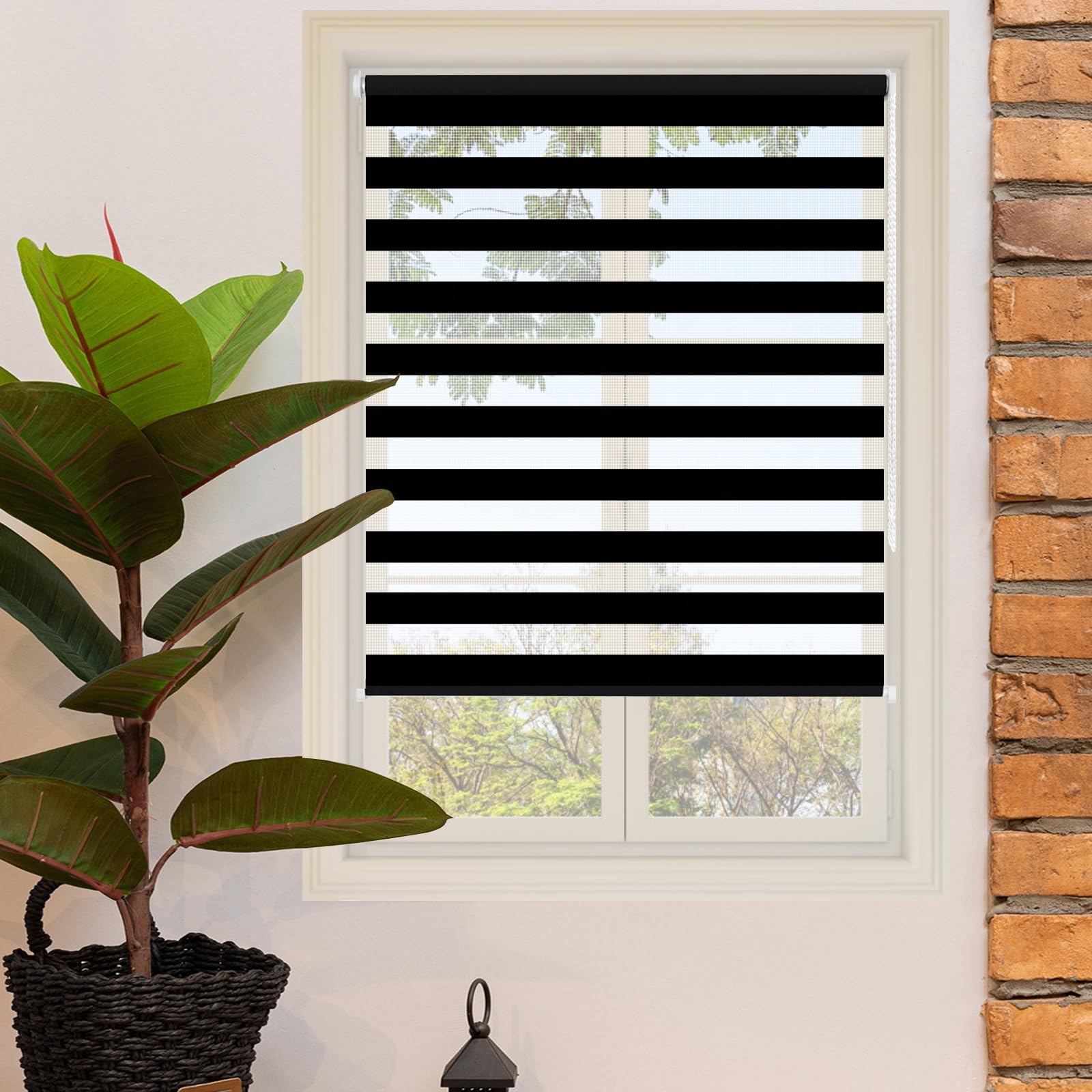 Doppelrollo Klemmfix Ohne Bohren 64 x 170 cm Blickdicht Oder Transparent, Ohne Bohren Möglich, Doppelrollo Wandmontage Duo Rollos für Fenster für Fenster Und Tür, Schwarz