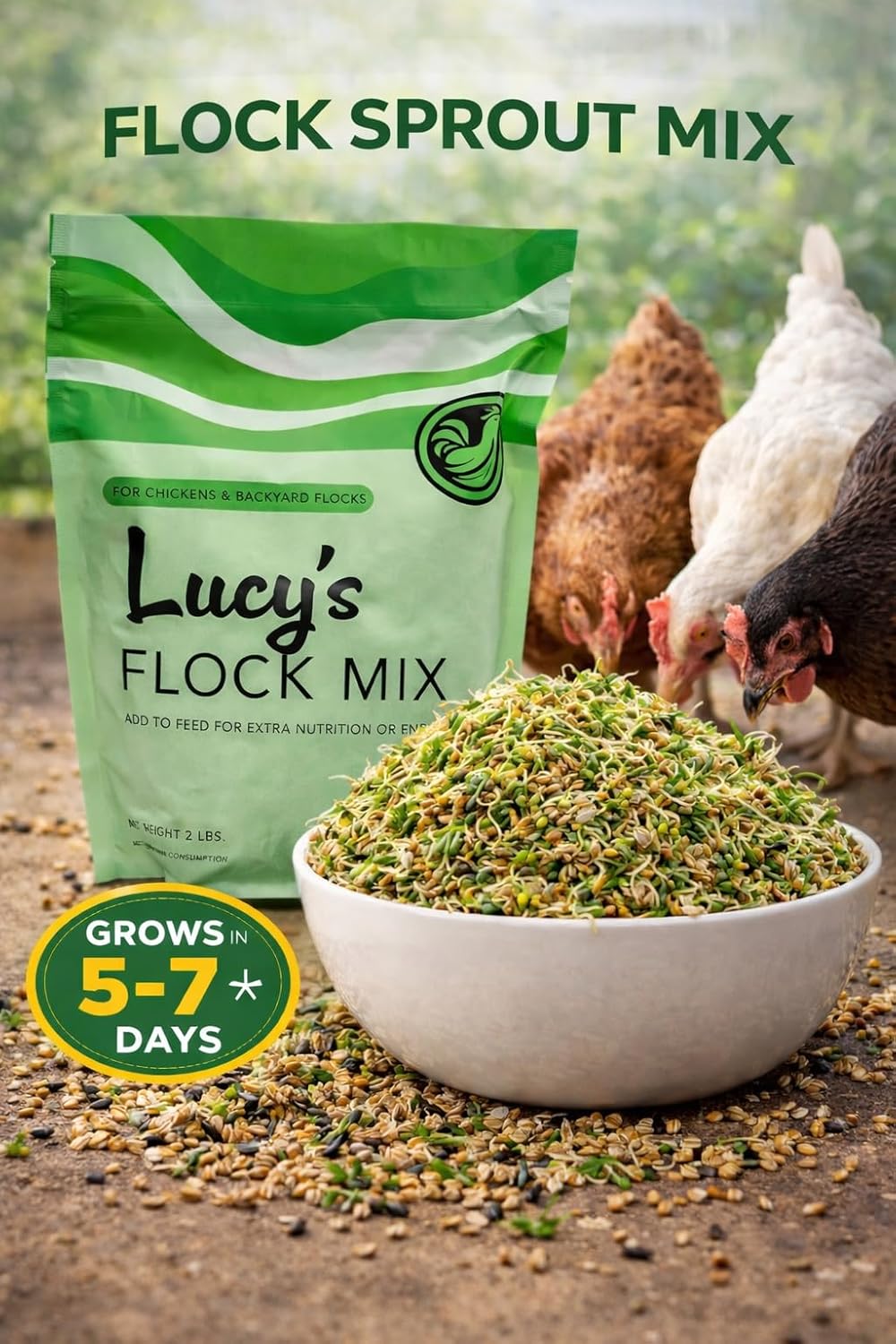 Poultry Sprout Seed Mix – Seeds for Growing Fresh Sprouts for Chickens & Poultry | Simple Sprouting Blend (8 lbs)