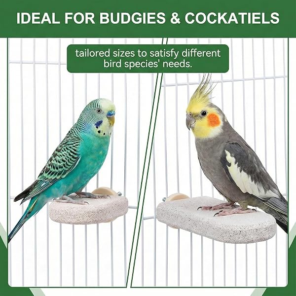2 Piezas Percha para Pájaros de Piedra Mineral, Diseño Hielo en Palo, Palo para Roer Natural, Para Periquitos y Ninfas, Accesorio Jaula para Cuidado del Pico y las Uñas Juguete - 5