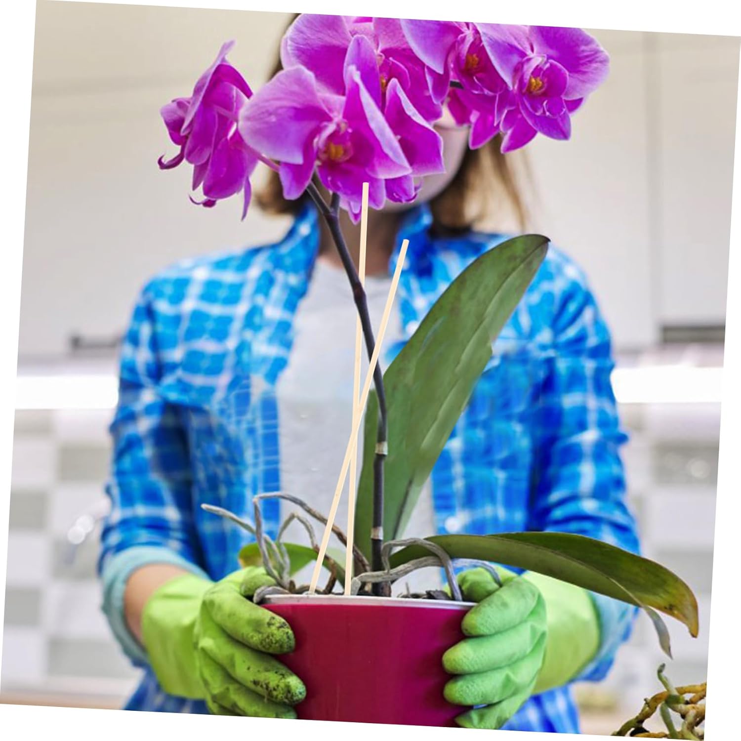 4sets 20pcs Garden Plant Support Sticks Durable Climbing Sticks for Vines Growth Aid for Flowering Plants Vegetables for Garden Supplies 20pcs*4