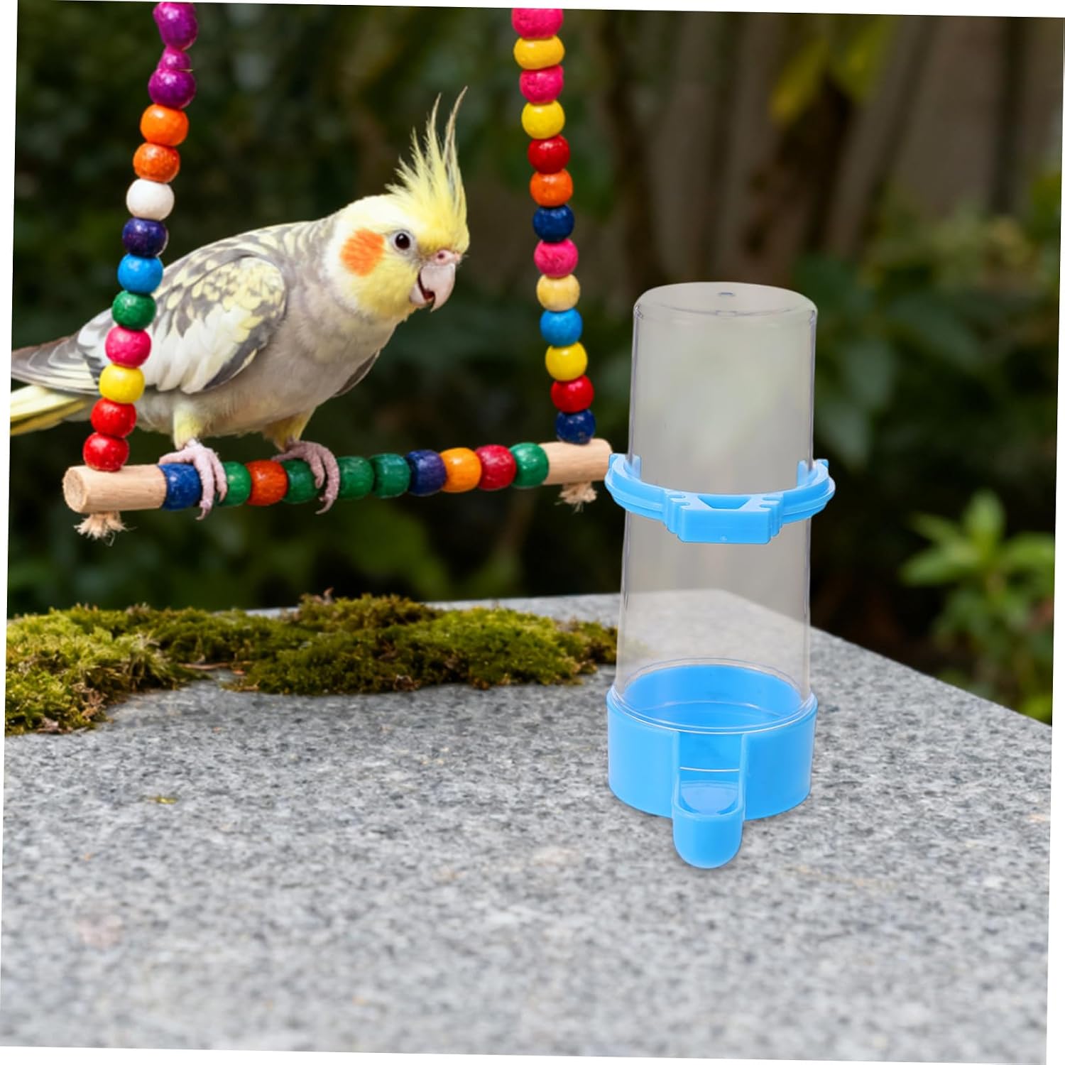 ERINGOGO 5pcs Automatic Bird Water Dispenser 180ml Plastic Bird Water Bottle with Anti-Spill Structure for Budgie and Canary Cage