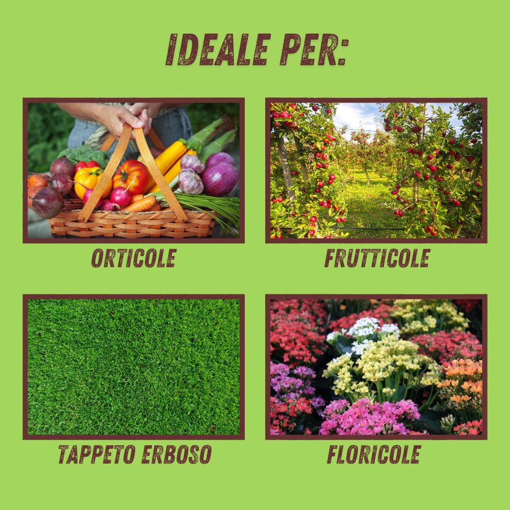 VITHAL Prato Sano Bio - Stimolatore Radicale per Tappeti Erbosi, Riduce Macchie Giallastre e Feltro, 100 g per 100 m² - Concime Naturale Consentito in Agricoltura Biologica