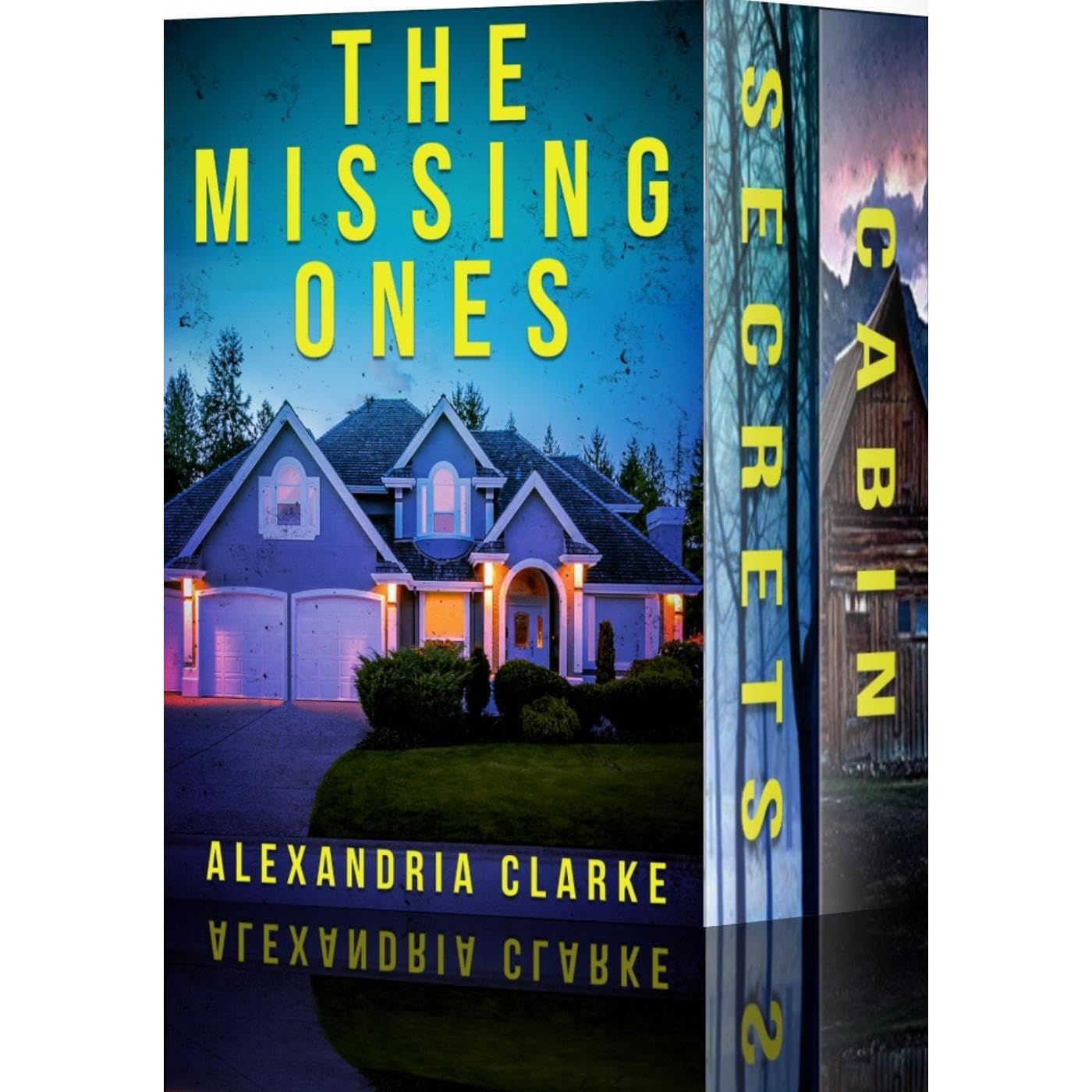 The Missing Ones: A Riveting Small Town Mystery Boxset