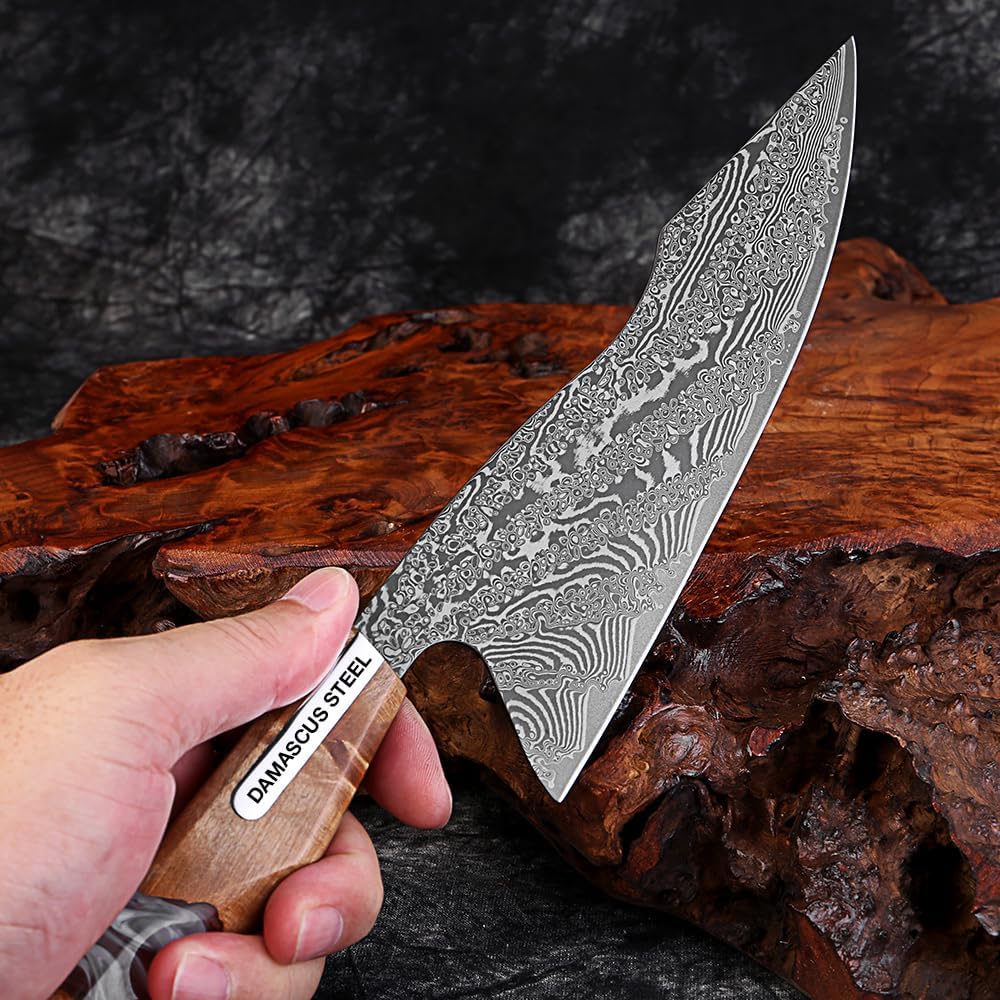 XITUO Damascus Steel Kitchen Knives,Professional Japanese Chef Knife Ultra Sharp with Clear Resin & Stabilized Wood Handle, High Carbon VG10 Steel For Kitchen Vegetable Cleaver (8 inch Chef Knife)