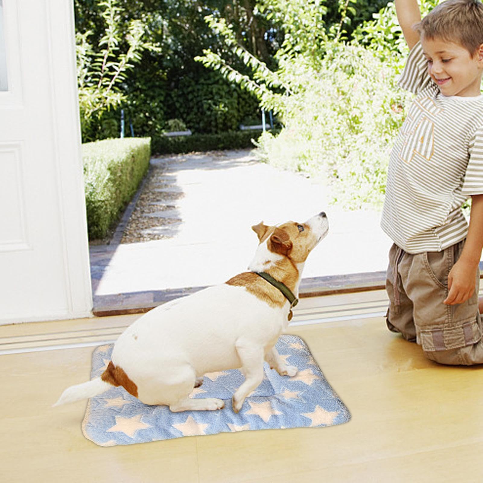 Acogedora manta calmante para gatos, cálida manta para gatos lavable a máquina, almohada para perros, cachorros y gatos, mantas para cachorros para gatos y perros de interior, cama para gatitos para