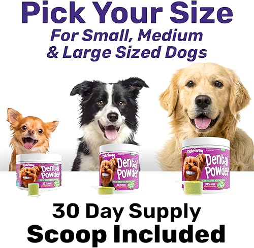 Miniatura 6 de Polvo dental  Dientes limpios, encías saludables y aliento fresco  Maneja la placa y la acumulación de sarro sin necesidad de cepillado  Formulado