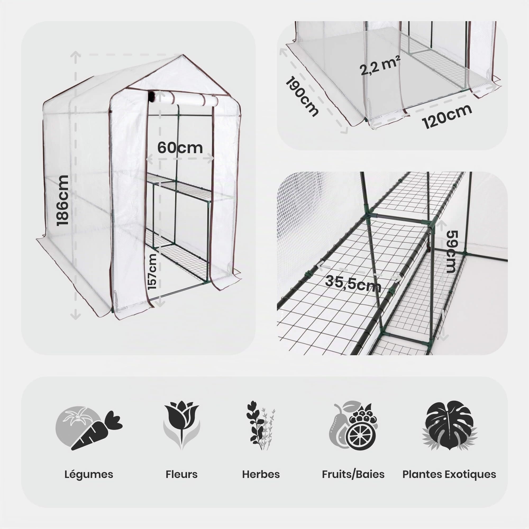 Arebos Serre en Film Premium 2 Niveaux 120 x 186 x 190 cm | Serre de Jardin Stable avec Étagères & Fenêtre d’Aération | Gain de Place | Structure Robuste pour Culture de Plantes