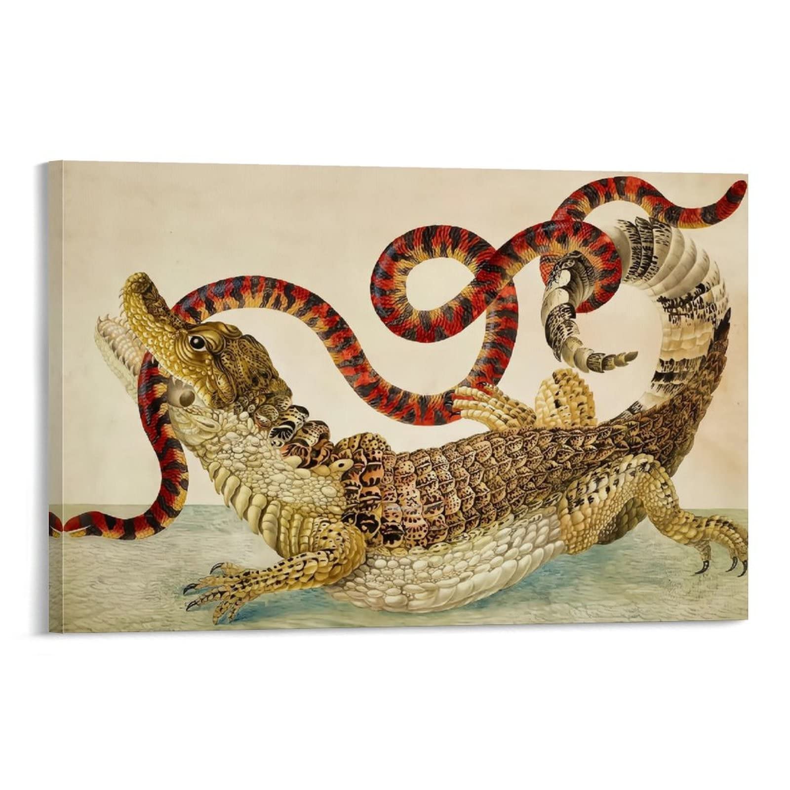 Amazon｜Maria Sibylla Merian マリア・ジビーラ・メーリアン(コモン 