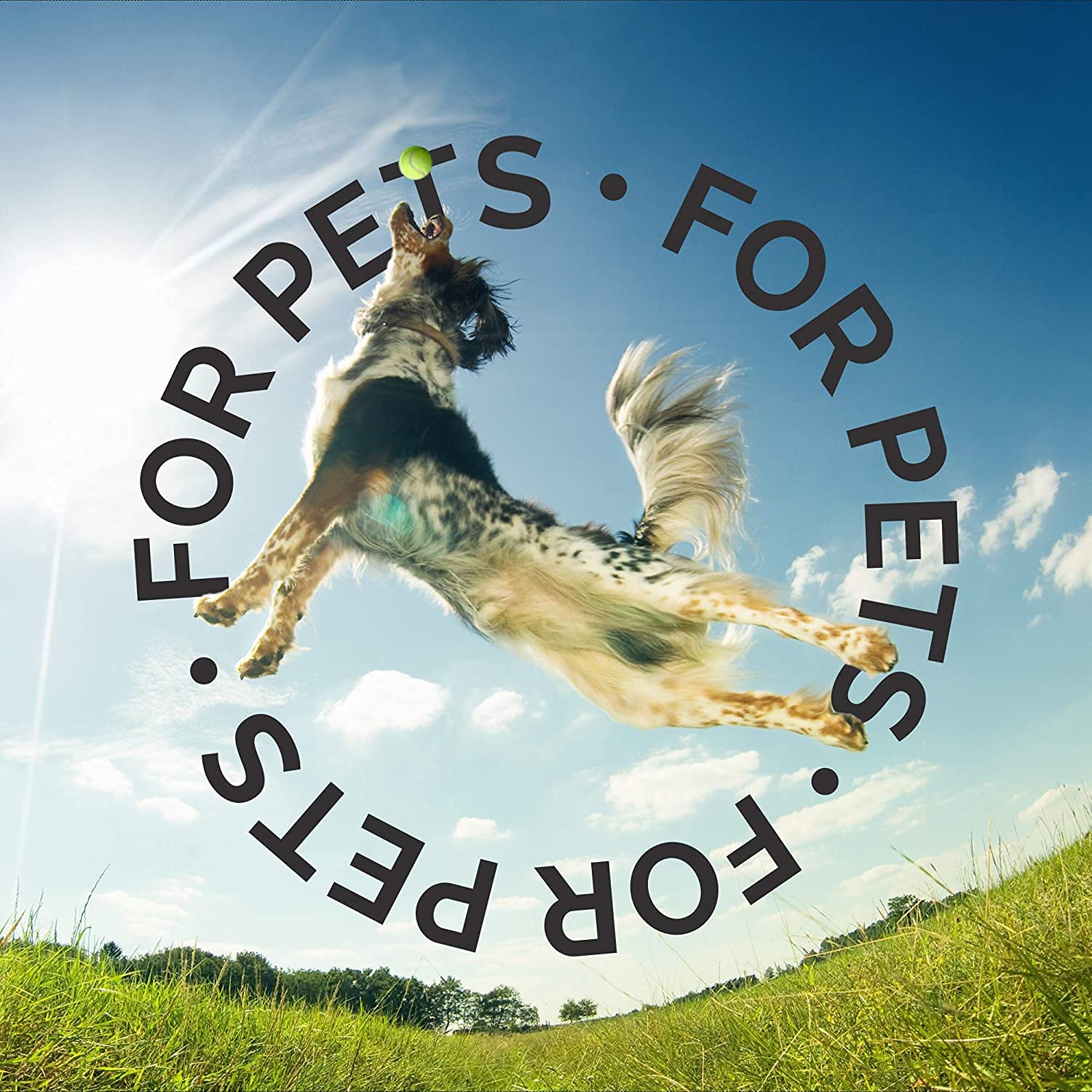 Bark2Basics Oatmeal Conditioner, Gallon - Natural Ingredients, Moisturizing, Hydrating, Crafted with Colloidal Oatmeal, Relieves Dry Itchy Irritated Skin, Coconut Fragrance - Image 7