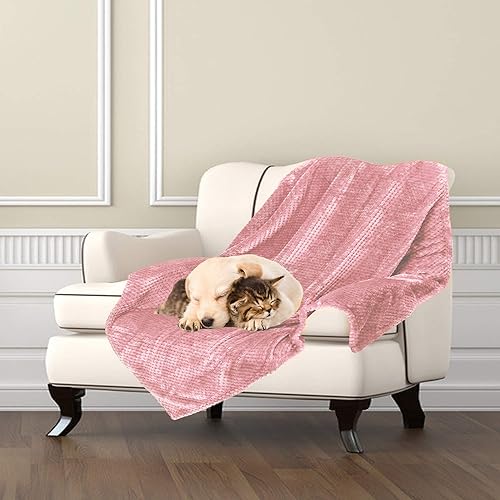 Miniatura 16 de Manta de alta calidad Msicyness para perro, manta polar acolchada, suave y cálida para mascotas, perros y gatos. 1 paquete verde,rosado, (1 Pack