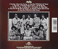 Vista 2 de Dreaming a Dream