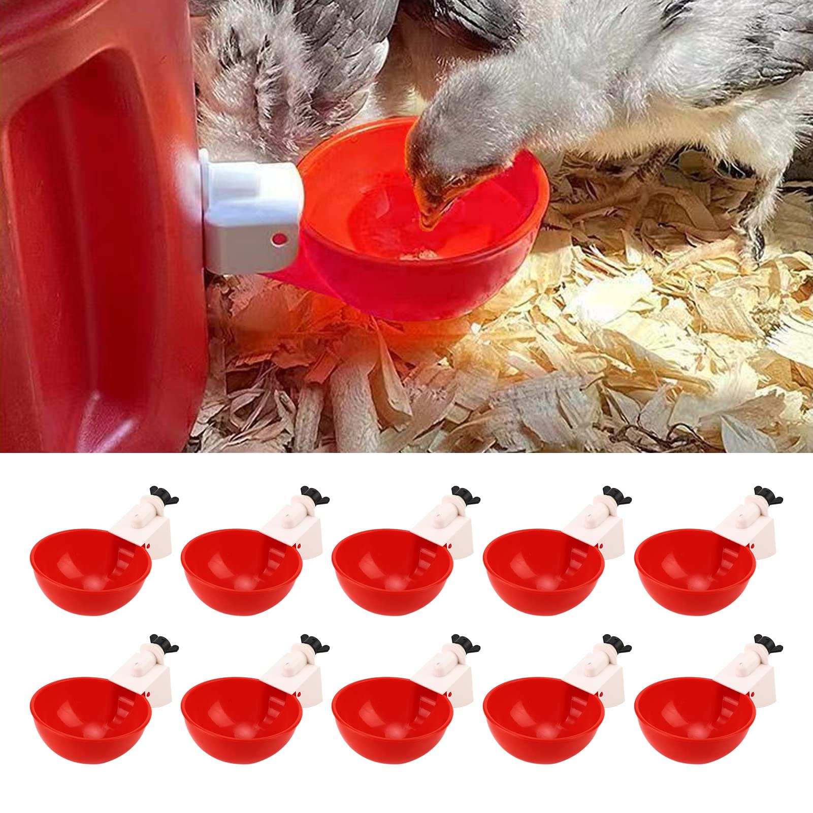 Distributeur Automatique De Nourriture Pour Oiseaux - Pour Cailles, Perruches, Poules, 2 Tailles, Acrylique/bois - 10