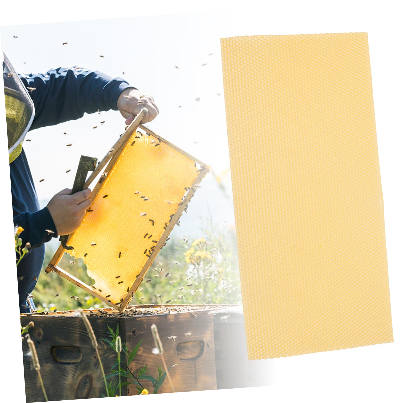 VANZACK 30 Láminas Base de Panal de Abejas de Cera Natural para Apicultura, Alta Producción y Rápida Formación de Colmena, Color Amarillo, Ideales para Manualidades y Fabricación de Velas