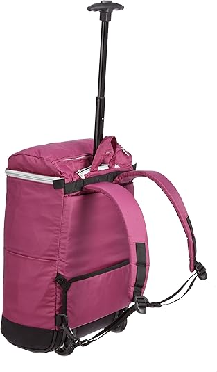 ソロツーリスト デイパックキャリー24L 未使用美品 DPC-24 リュック 楽天市場】ソロツーリスト ソフト スーツケース キャリーバッグ