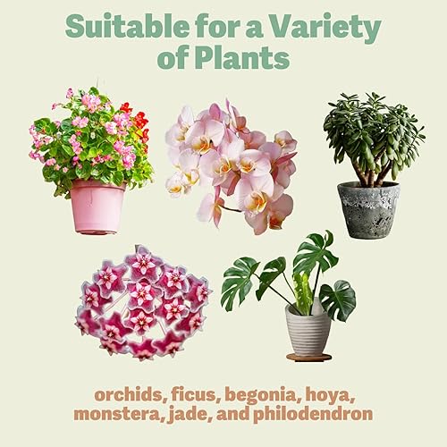 Miniatura 3 de Pasta de clonación Keiki para plantas, aumenta el crecimiento y crea una nueva vida con la pasta Keiki de primera calidad, pasta de clonación de