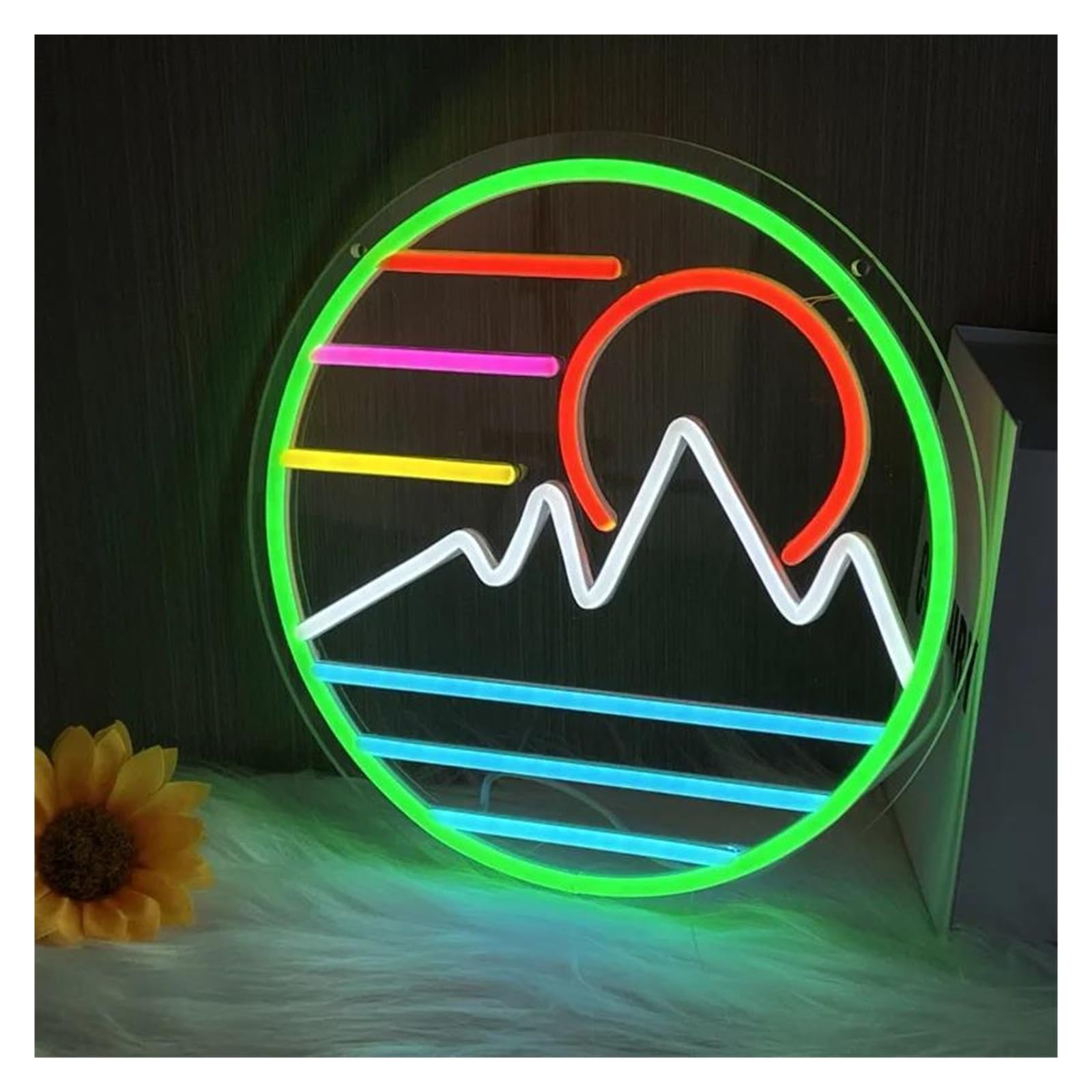 LEMST Sign Lamp Sunrise and Sunset Neon, USB Powered, with Dimmable Switch, Suitable for Bedroom, Living Room Or Balcony 30x30cm