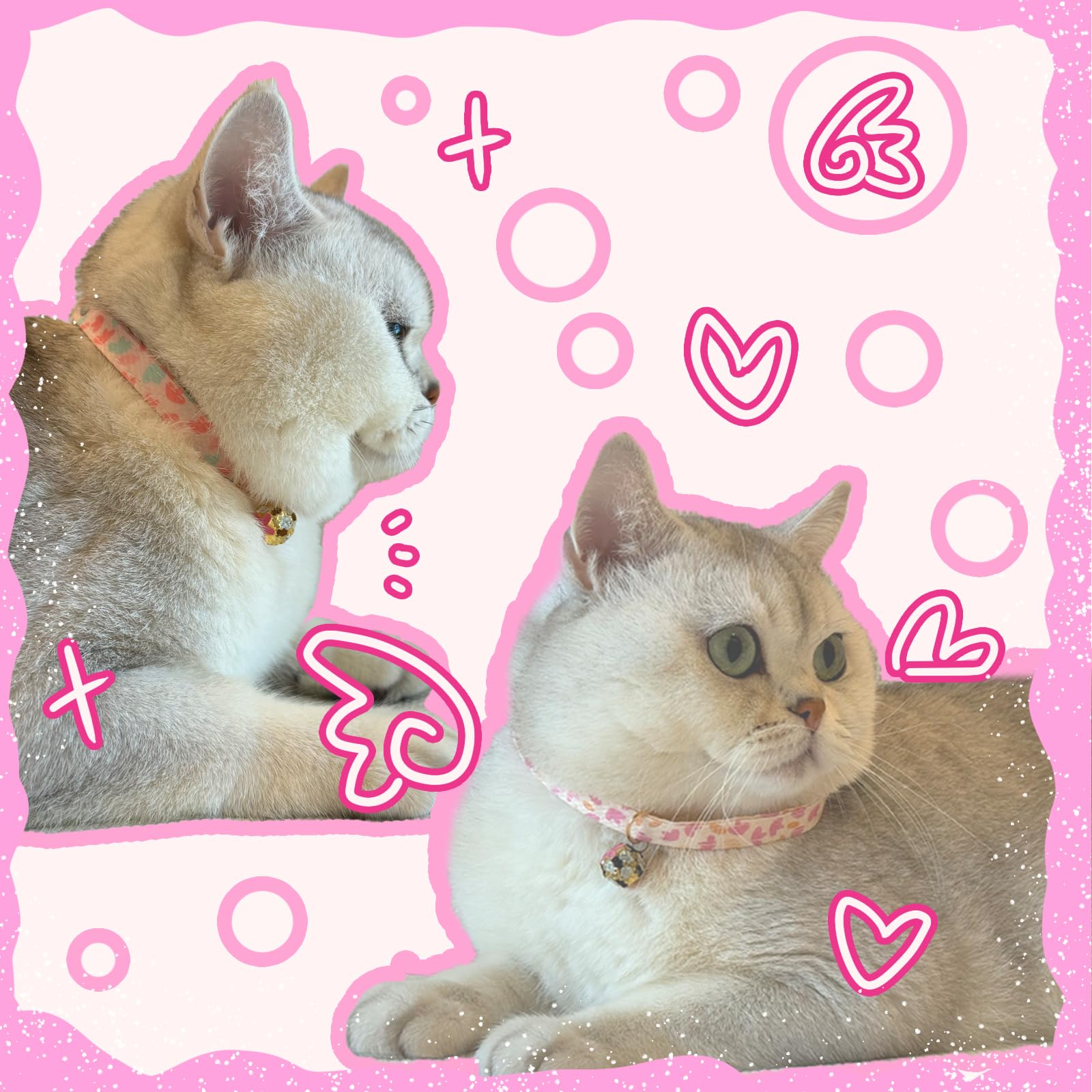 4er-Set Katzenhalsbänder Aus Baumwolle – Mit Glöckchen & Blumenanhänger, Verstellbar 18–30 Cm | Für Katzen & Kleine Hunde