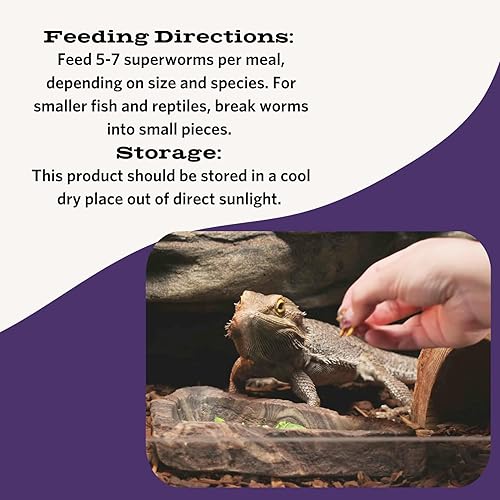 Miniatura 11 de Fluker's Grillos liofilizados, ideales para reptiles, pájaros y peces, llenos de proteínas y nutrientes esenciales, 1.2 onzas