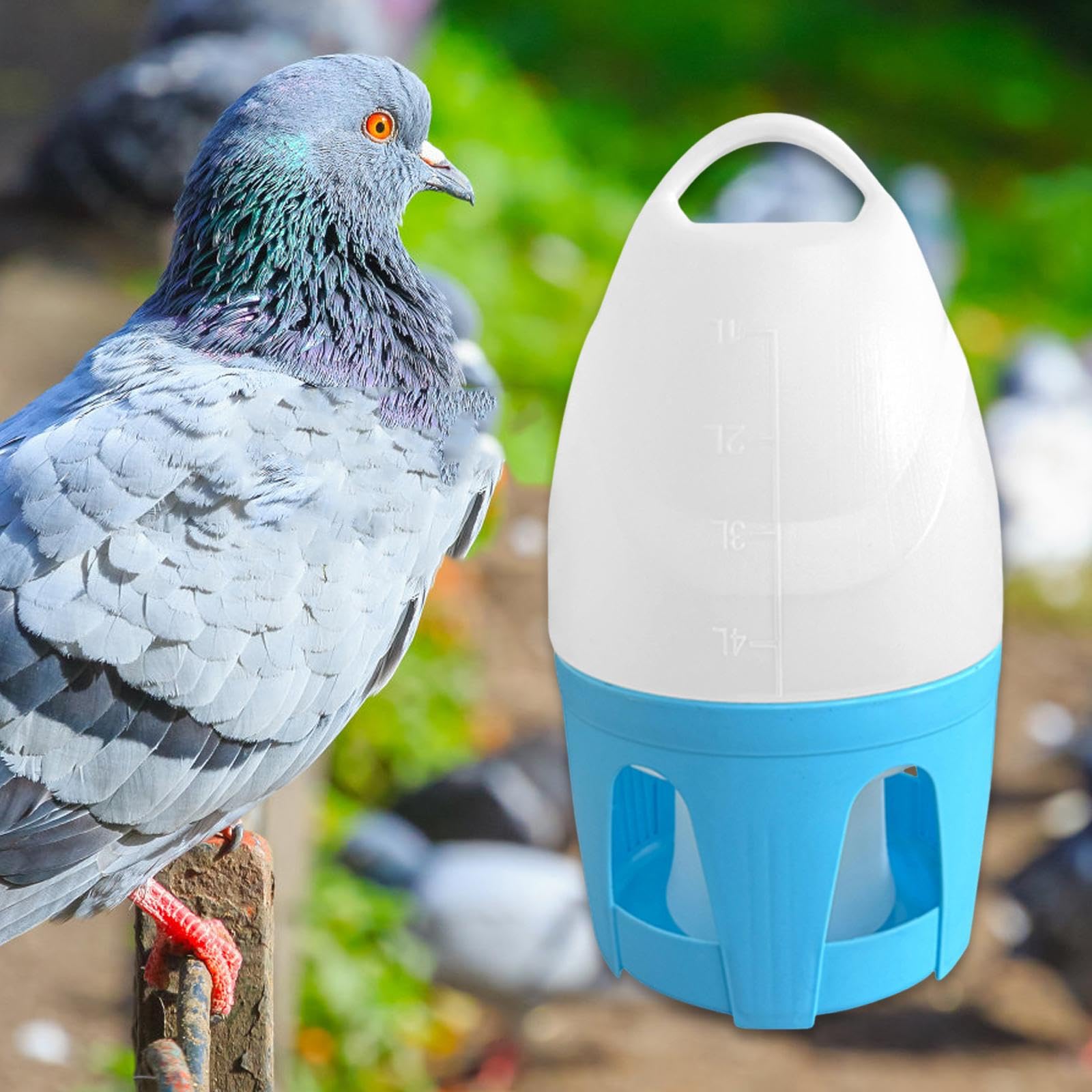 F Fityle Abreuvoir Automatique à Oiseaux Distributeur Portable avec Poignée Récipient Grande Capacité Matériau Solide Convient pour Cages Oiseaux Maison, 6 L