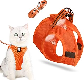Katzenleine Mit Geschirr Für Katzen, Hundegeschirr, Cat Harness and Leash, Outdoor Walking product image