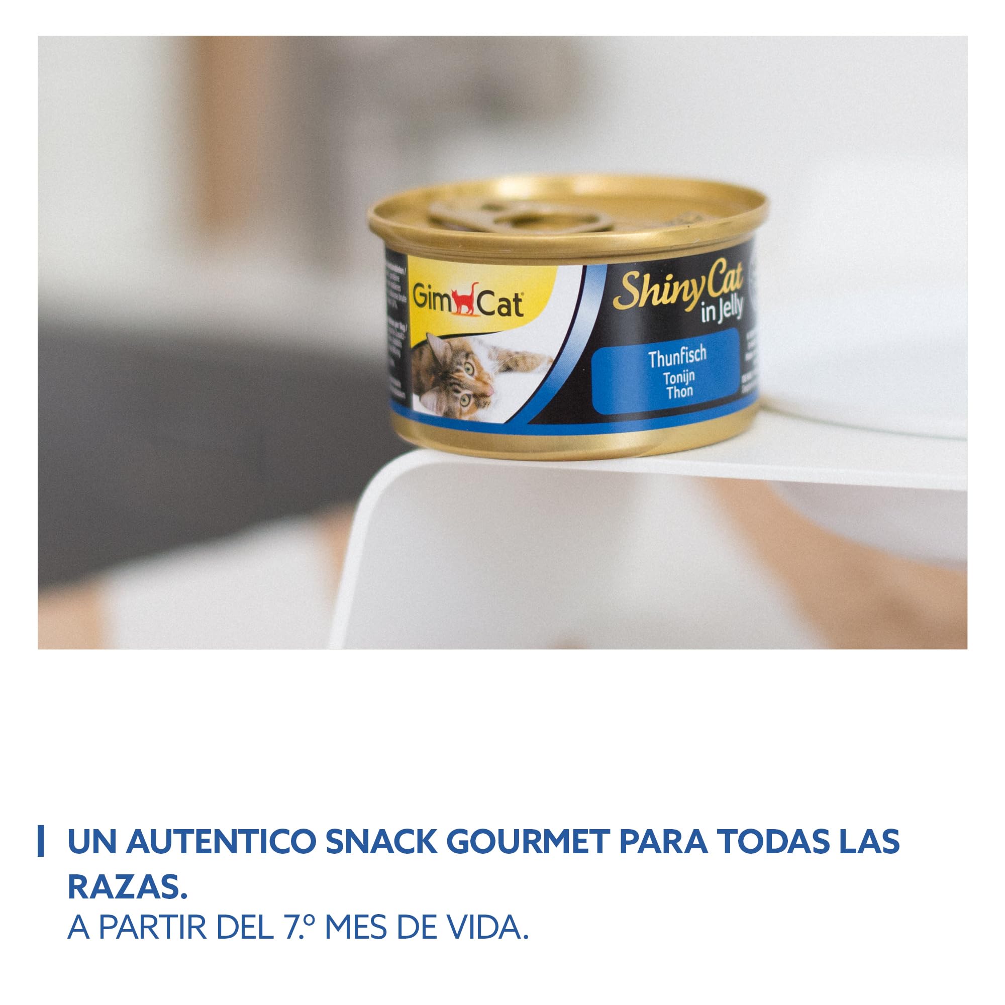 GimCat ShinyCat in Jelly, atún - Alimento húmedo para gatos, con pescado y taurina - 48 latas (48 x 70 g)