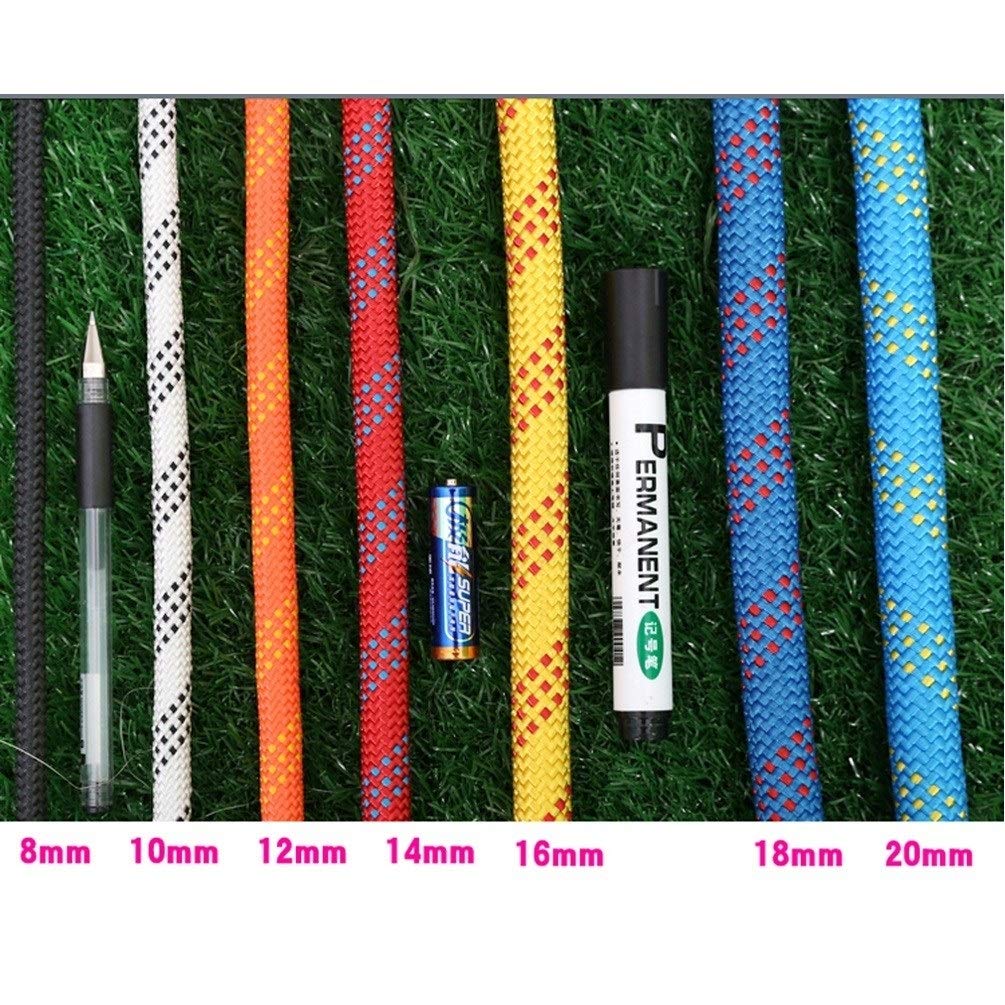Cuerda de Escalada Cuerda de Alpinismo estática Verde de 12 mm, Cuerda de Nylon de Alta Resistencia Resistente al desgarro con mosquetón Doble 10M-100M (Tamaño : 50m)