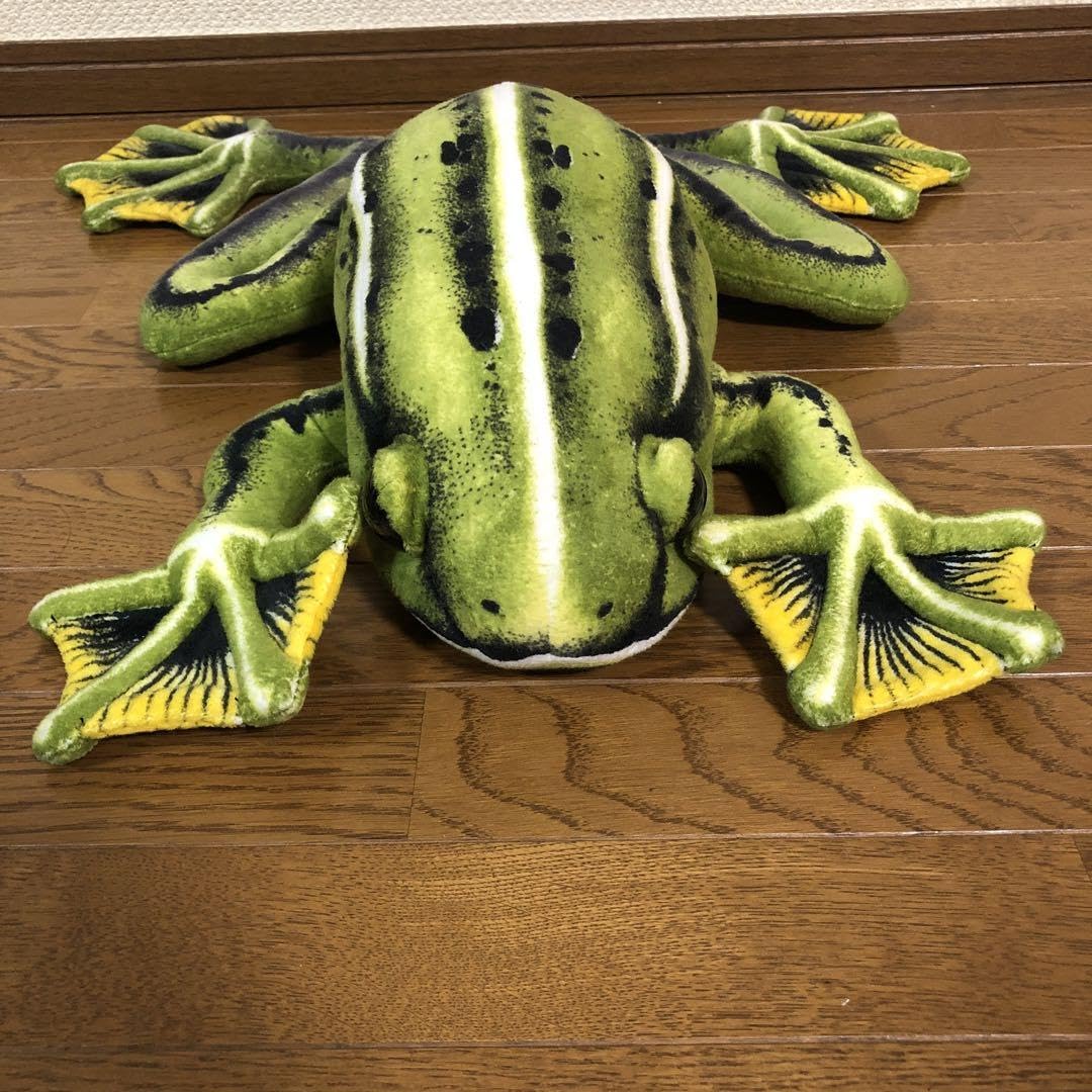 カエル 蛙 ぬいぐるみ BIG Amazon.co.jp: リアル BIG カエル 蛙 ぬいぐるみ : おもちゃ