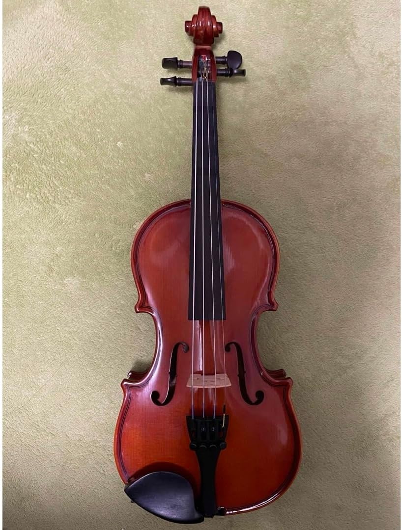 カルロジョルダーノ バイオリン VS-1 1/10 カルロジョルダーノ VS-1 1