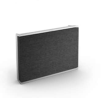 不自由の女神　BEOSOUND LEVEL Bang & Olufsen 71dK6qkd2rL._AC_UF350,