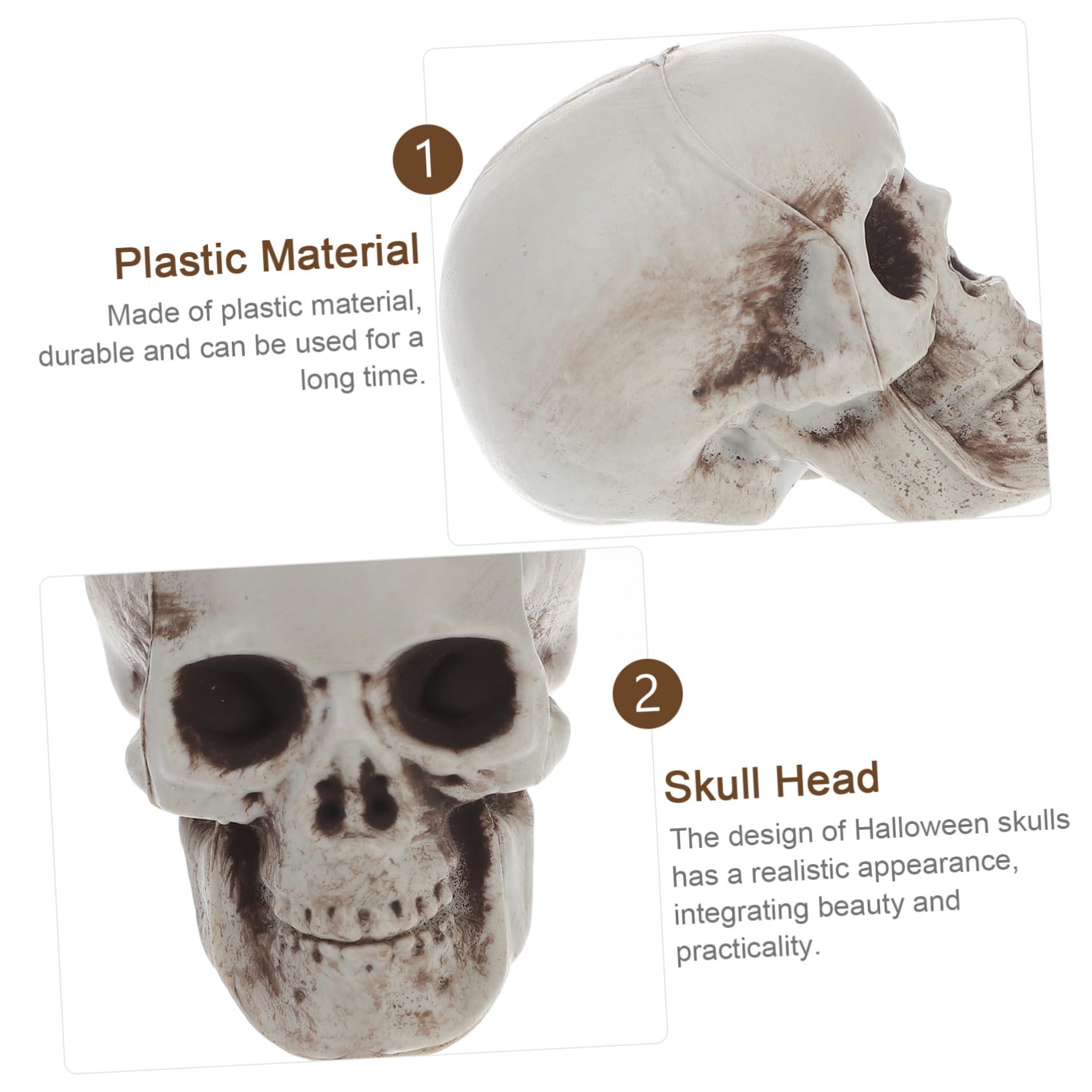 TOPBATHY 36 Pz Modello Di Teschio Di Simulazione Decorazioni Della Testa Di Scheletro Teschi Realistici Scheletri Di Halloween Teschi Scheletrici Arredamento Del Cranio Santificare Plastica